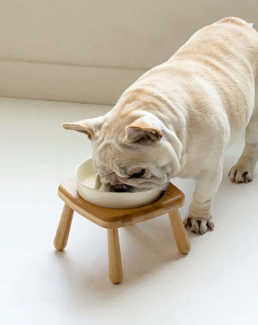 Gamelle en céramique pour chien slow feeder - Blanc - 1800 ml - céramique de haute qualité et bois massif élégant.