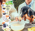 Afbeelding laden in Galerijviewer, Smoofl Starterskit voor puppy-ijsjes