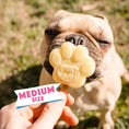 Afbeelding laden in Galerijviewer, Smoofl siliconen hondenpoot ijsvorm voor honden 10-25 kg – medium (roze)
