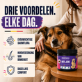 Afbeelding laden in Galerijviewer, SensiDog Anti-jeuk – 180g