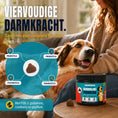 Afbeelding laden in Galerijviewer, SensiDog Darmbalans Probiotica – 180g