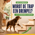 Afbeelding laden in Galerijviewer, SensiDog Heup en gewrichten – 180g