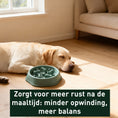Afbeelding laden in Galerijviewer, NoRush Antischrokbak, groene voerbak - Slow feeder voor een rustige eetroutine, trager eetgedrag
