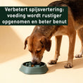 Afbeelding laden in Galerijviewer, NoRush Antischrokbak, groene voerbak - Slow feeder voor een rustige eetroutine, trager eetgedrag