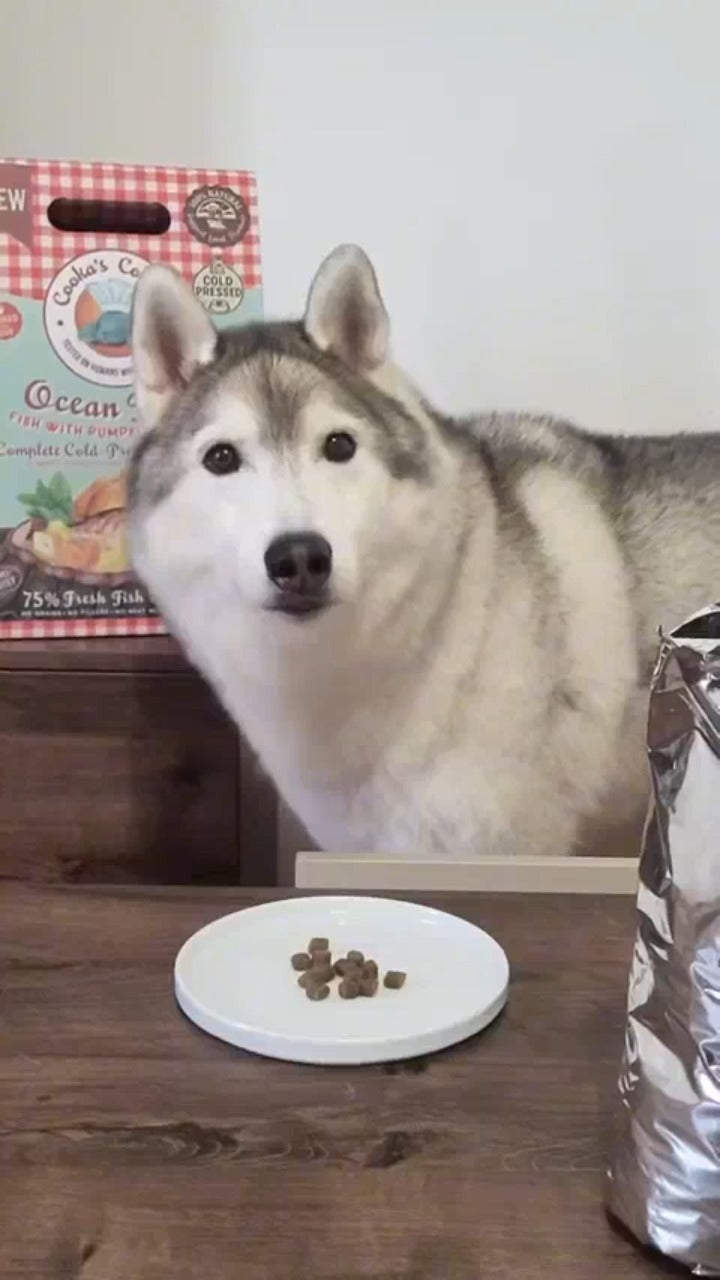 Natuurlijk Droogvoer