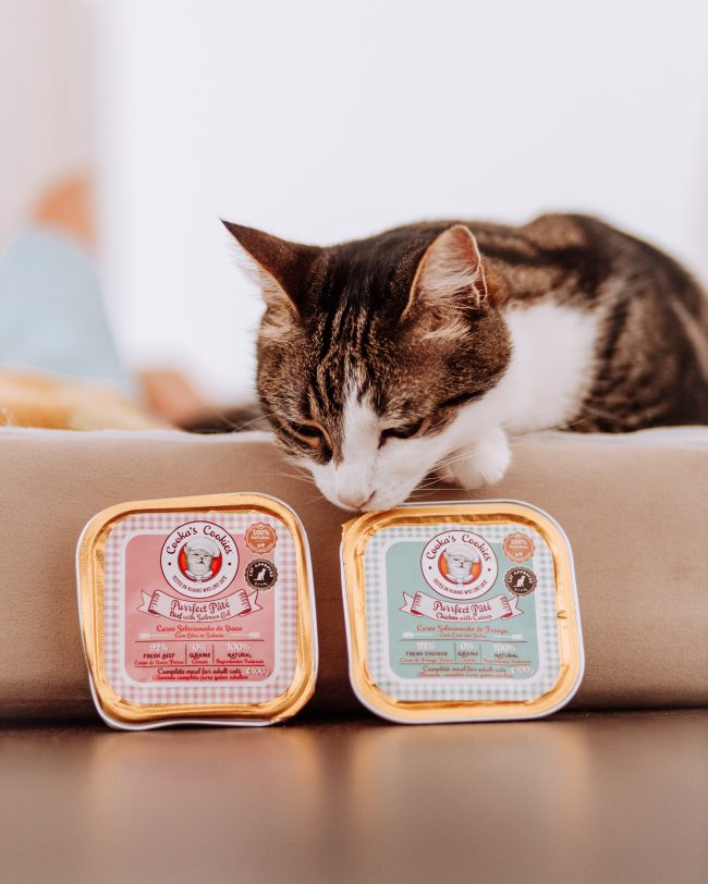 Pâtée au poulet - avec patate douce et herbe à chat - un repas parfait pour les chats - nourriture humide naturelle
