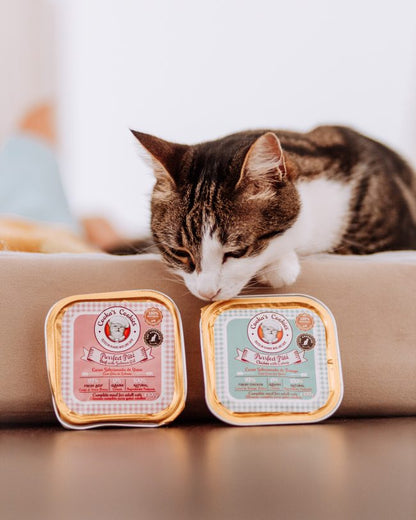 Pâtée au poulet - avec patate douce et herbe à chat - un repas parfait pour les chats - nourriture humide naturelle