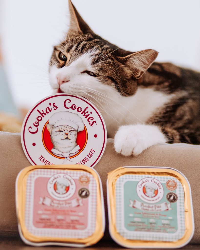 Pâtée au poulet - avec patate douce et herbe à chat - un repas parfait pour les chats - nourriture humide naturelle