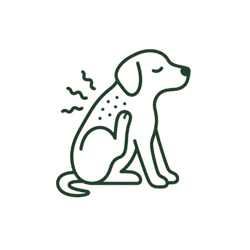 Mijn hond heeft jeuk