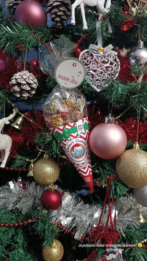 Woofmas balls (kip en tonijn beijinhos)