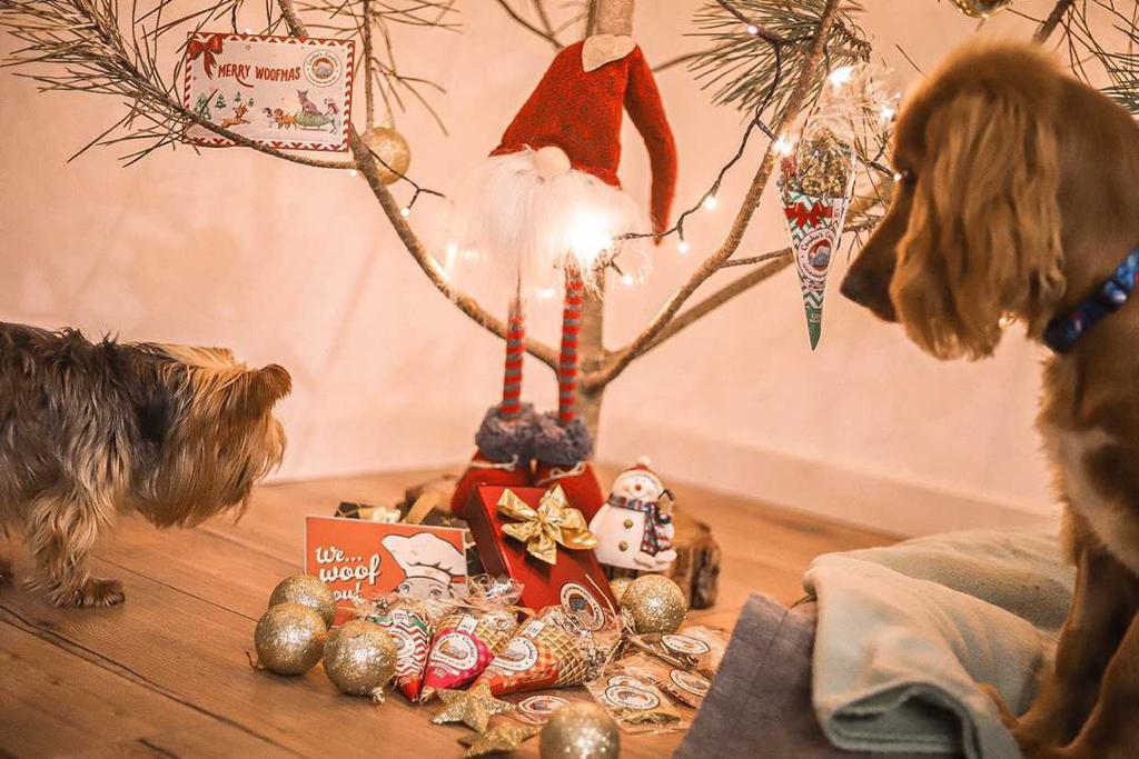 Woofmas balls (rund beijinhos)