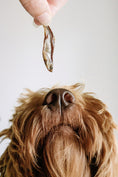 Afbeelding laden in Galerijviewer, Gone fishing - 90g
