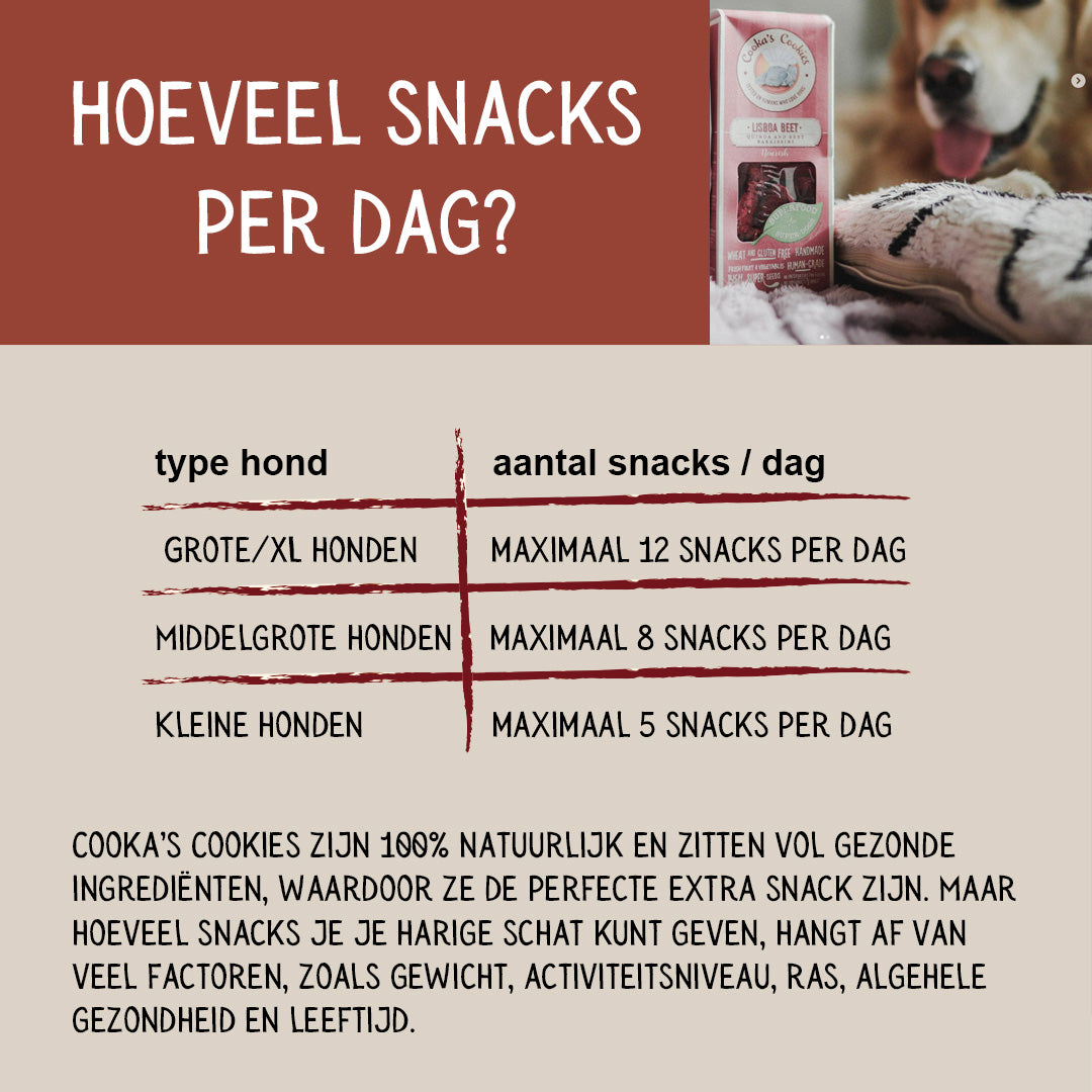 Gezonde hondenkoekjes met superfoods multipack 4x2st