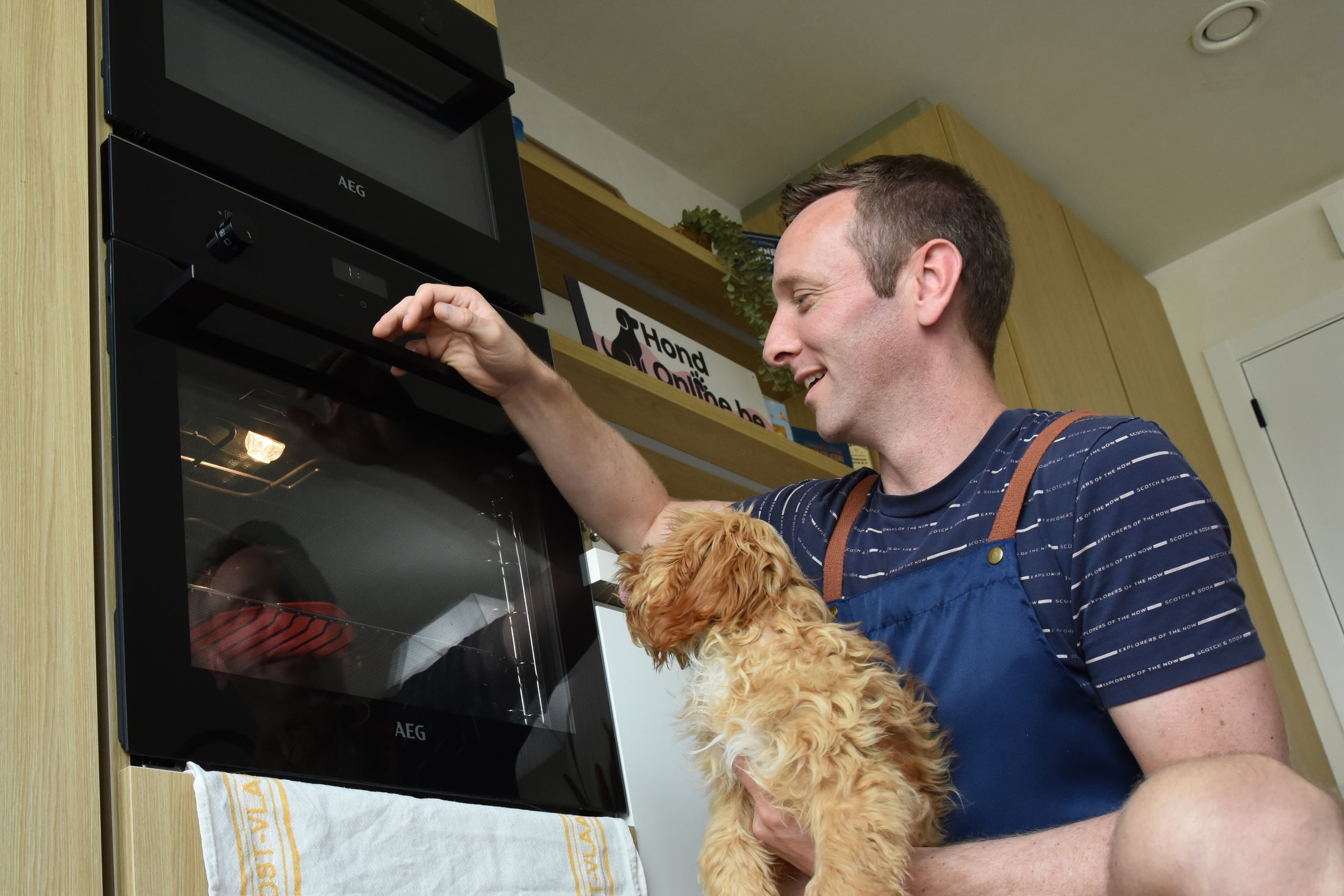 Green Garden Shrimp - pakket feestelijke hondentaart