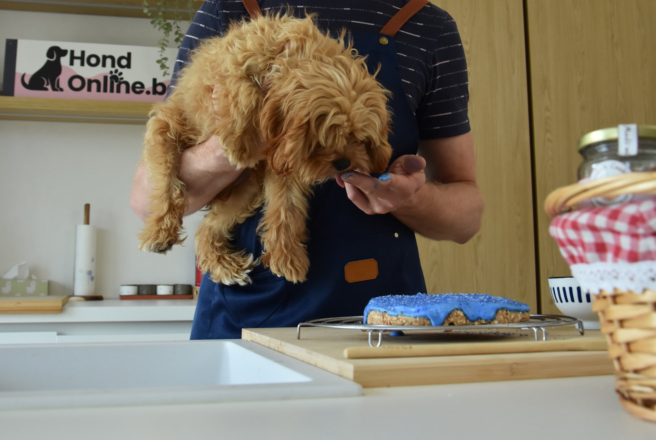 Blue Mermaid Chicken - pakket feestelijke hondentaart