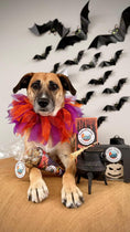 Afbeelding laden in Galerijviewer, Halloween Kiss the witch 50g
