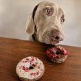 Afbeelding laden in Galerijviewer, Choco Berry dog donuts – pink chocolate 45g

