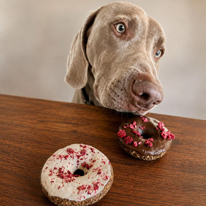 Donuts pour chiens Choco Baies – chocolat blanc 45 g