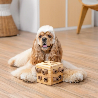 Snuffle Rubik's Cube Puzzle pour chien – Stimuler l'engagement – Amuser – Apporter une valeur ajoutée