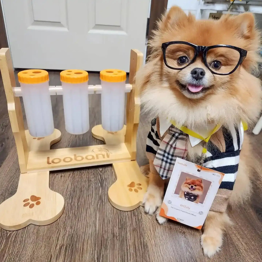 Snacklab Treat Dispenser Large | Jouet interactif pour chien