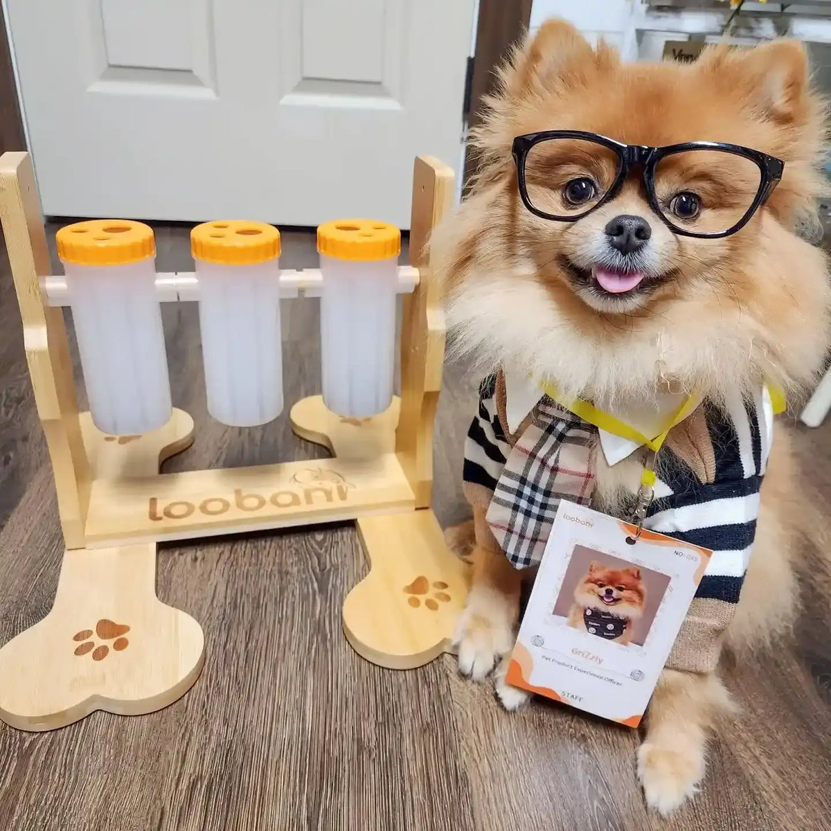 Snacklab Treat Dispenser Large | Jouet interactif pour chien