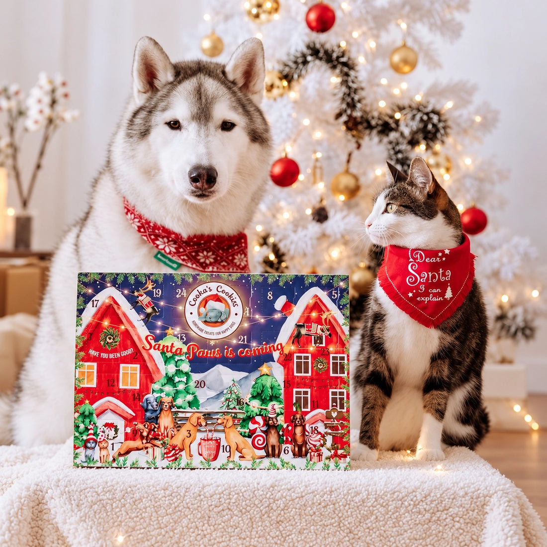 Calendrier de l'Avent Premium pour chiens