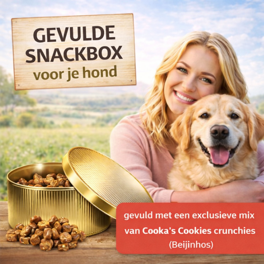 VERASSING BOX, ELKE BOX EEN FEESTJE VOOR JE VIERVOETER