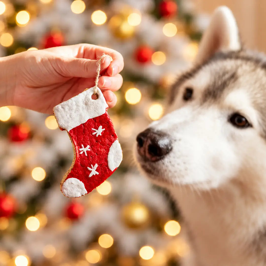 Boîte d'ornements de Noël