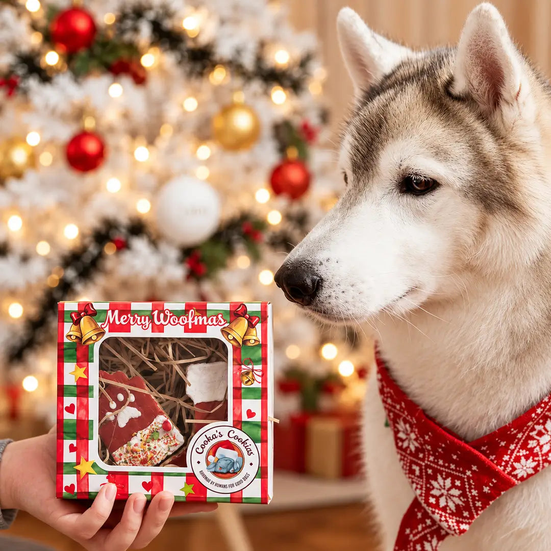 Boîte d'ornements de Noël