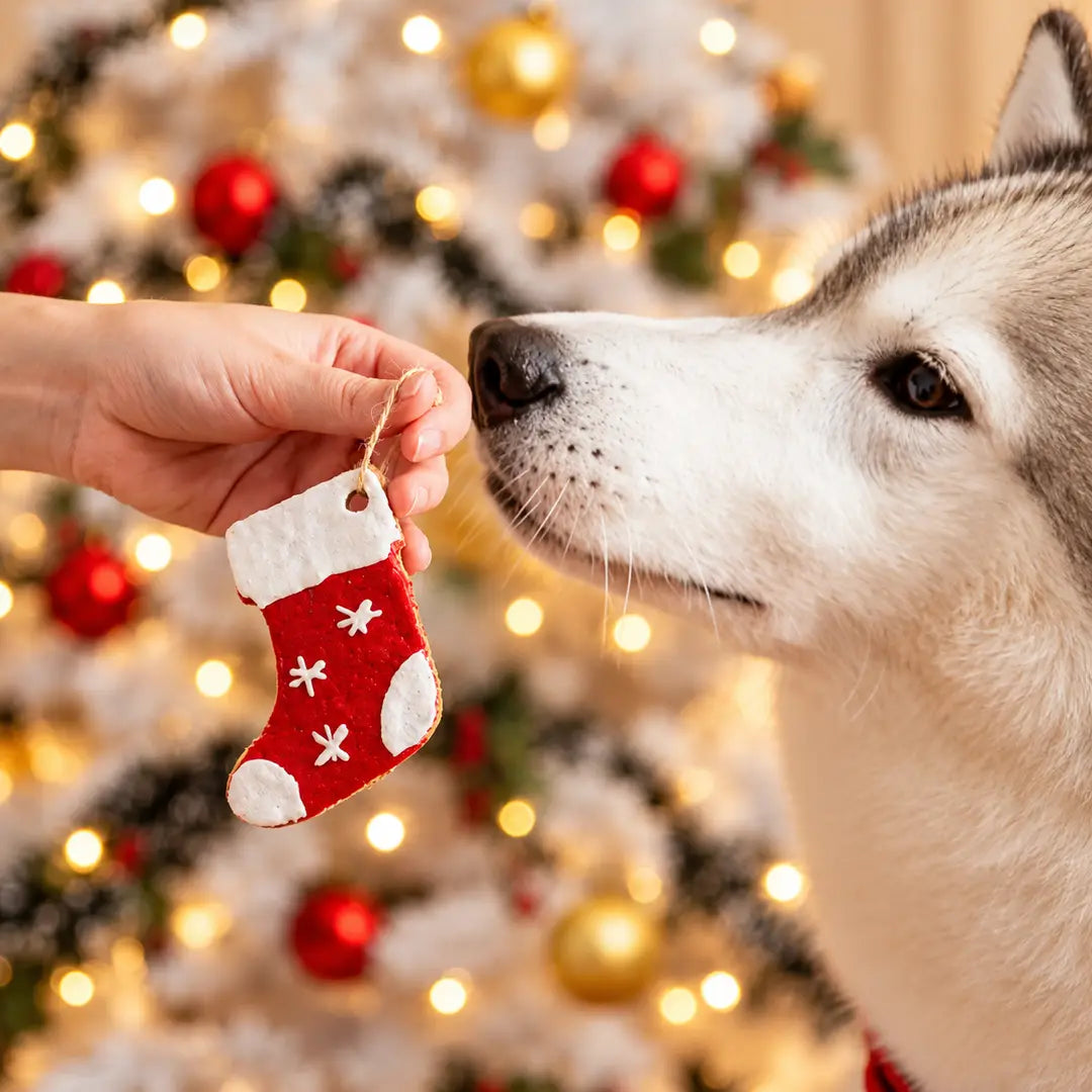 Boîte d'ornements de Noël