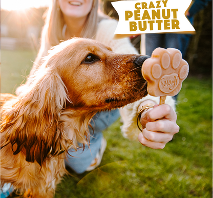 Smoofl Mélange Glace pour Chien Beurre de Cacahuète 160 grammes – Mélange Glace Rafraîchissant pour Chiens