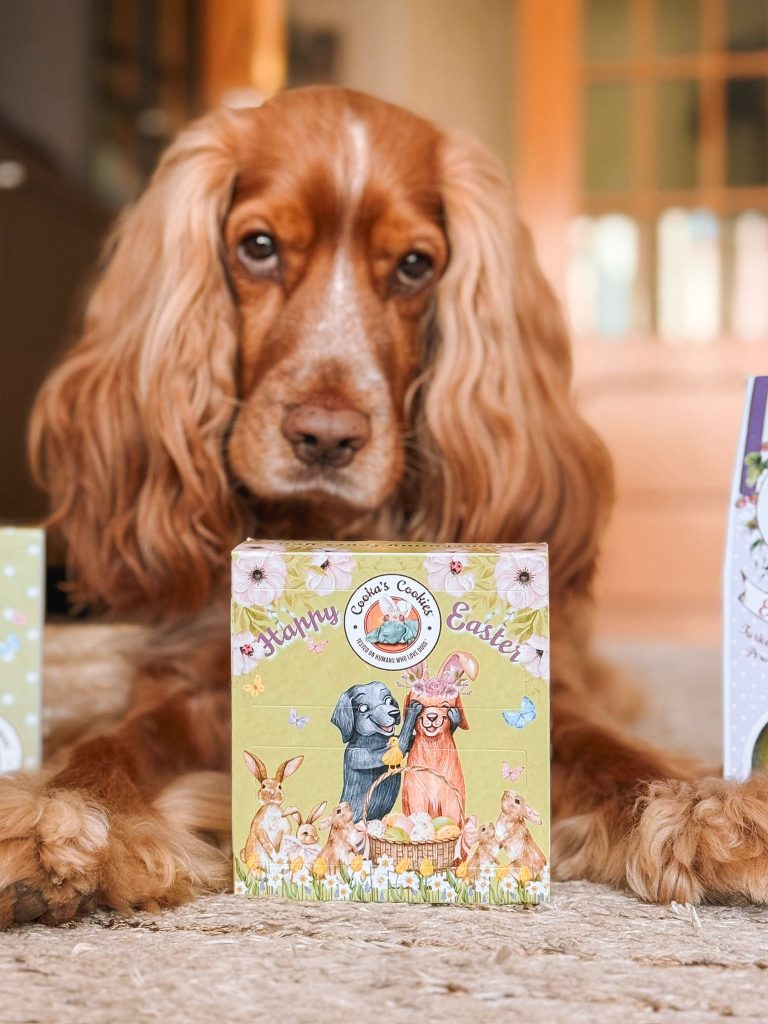 Paaseierenjacht - Paas aftelkalender voor honden