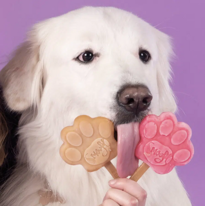 Smoofl Kit de démarrage pour glaces pour chiens - medium (rose)