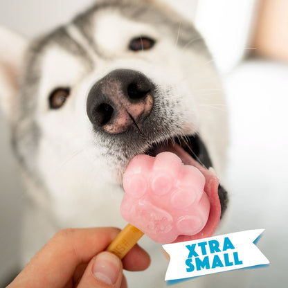 Smoofl Moule à glace en silicone en forme de patte pour chiens < 5 kg – taille extra petite (bleu clair)