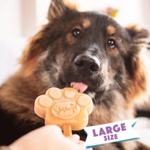 Smoofl siliconen hondenpoot ijsvorm voor honden > 25 kg – large (paars)