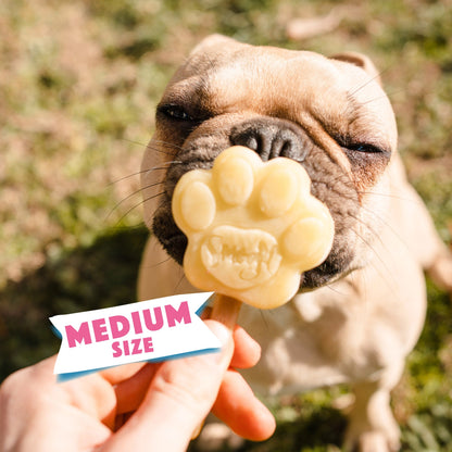 Smoofl Moule à glace en silicone pour pattes de chien pour chiens de 10-25 kg – medium (rose)