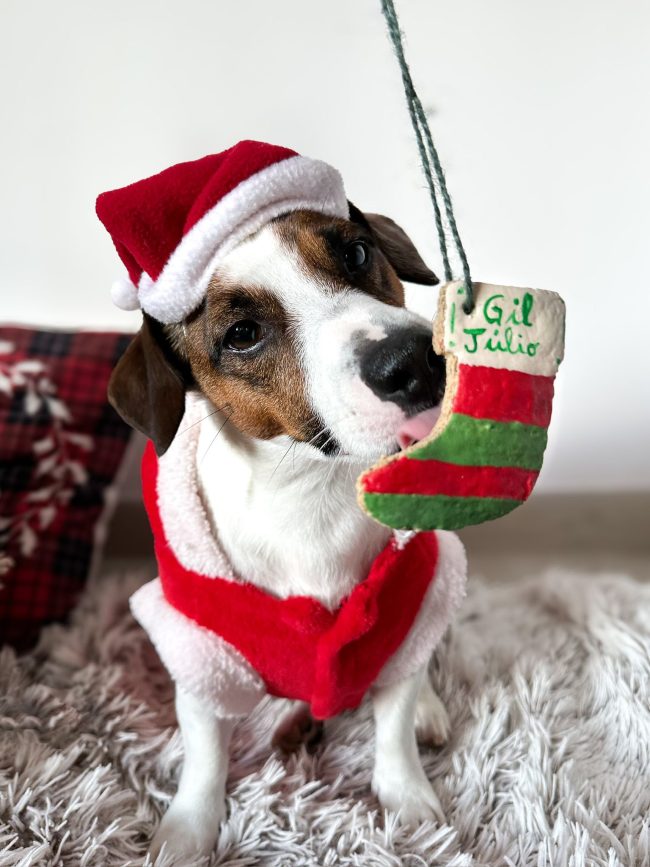 Christmas Ornamental box