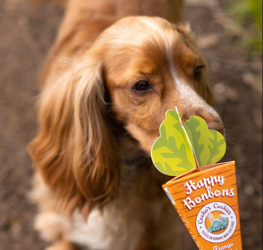 Happy bonbons - 50g