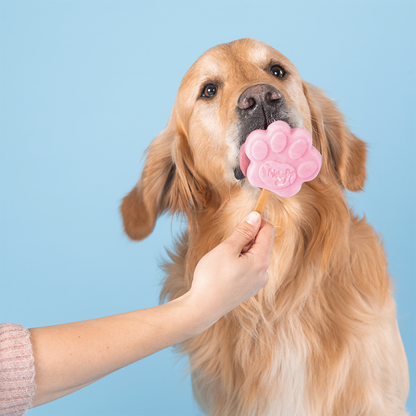 Smoofl Mélange pour Glaces pour Chiens Fraise 160 grammes – Mélange Glacé Rafraîchissant pour Chiens