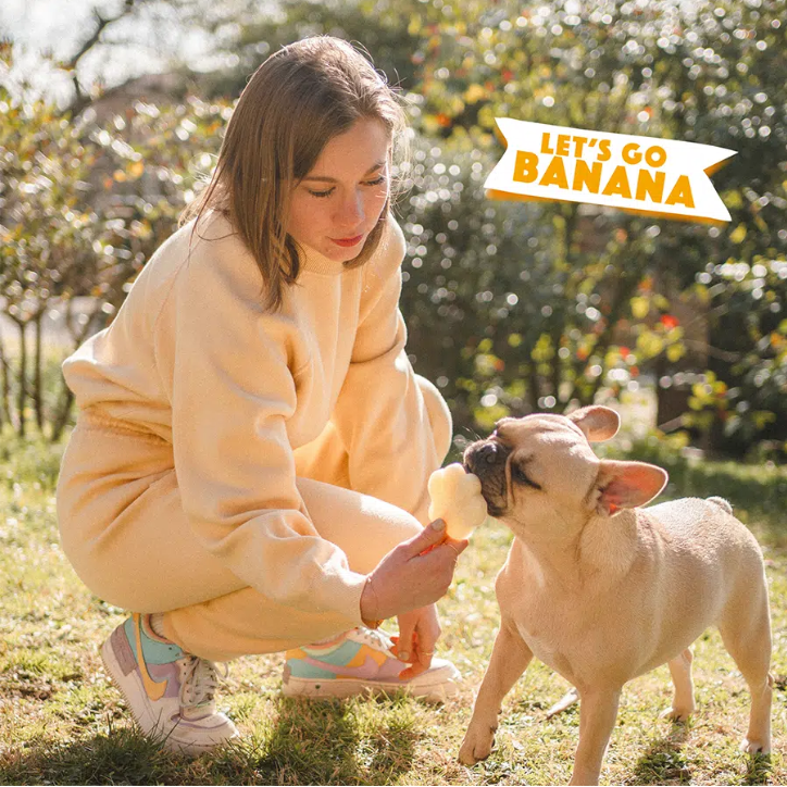 Smoofl Mélange Glace pour Chien Banane 160 grammes – Mélange Glace Rafraîchissant pour Chiens
