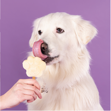 Smoofl Hondenijs Mix Banaan 160 gram  – Verfrissende IJsmix voor Honden