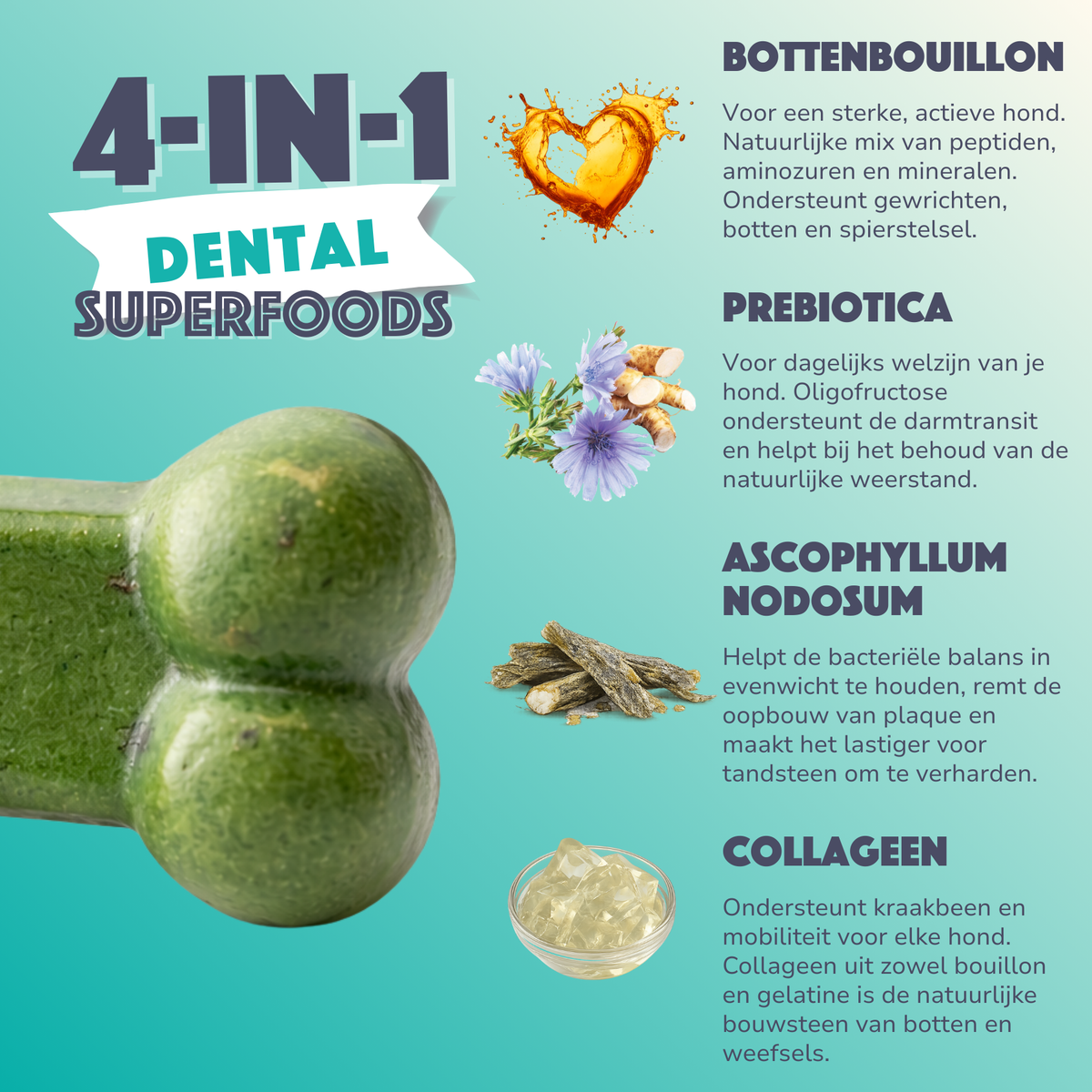 Smoofl Dental Dog Gummies | Un supplément fonctionnel, faible en calories | friandise pour chiens
