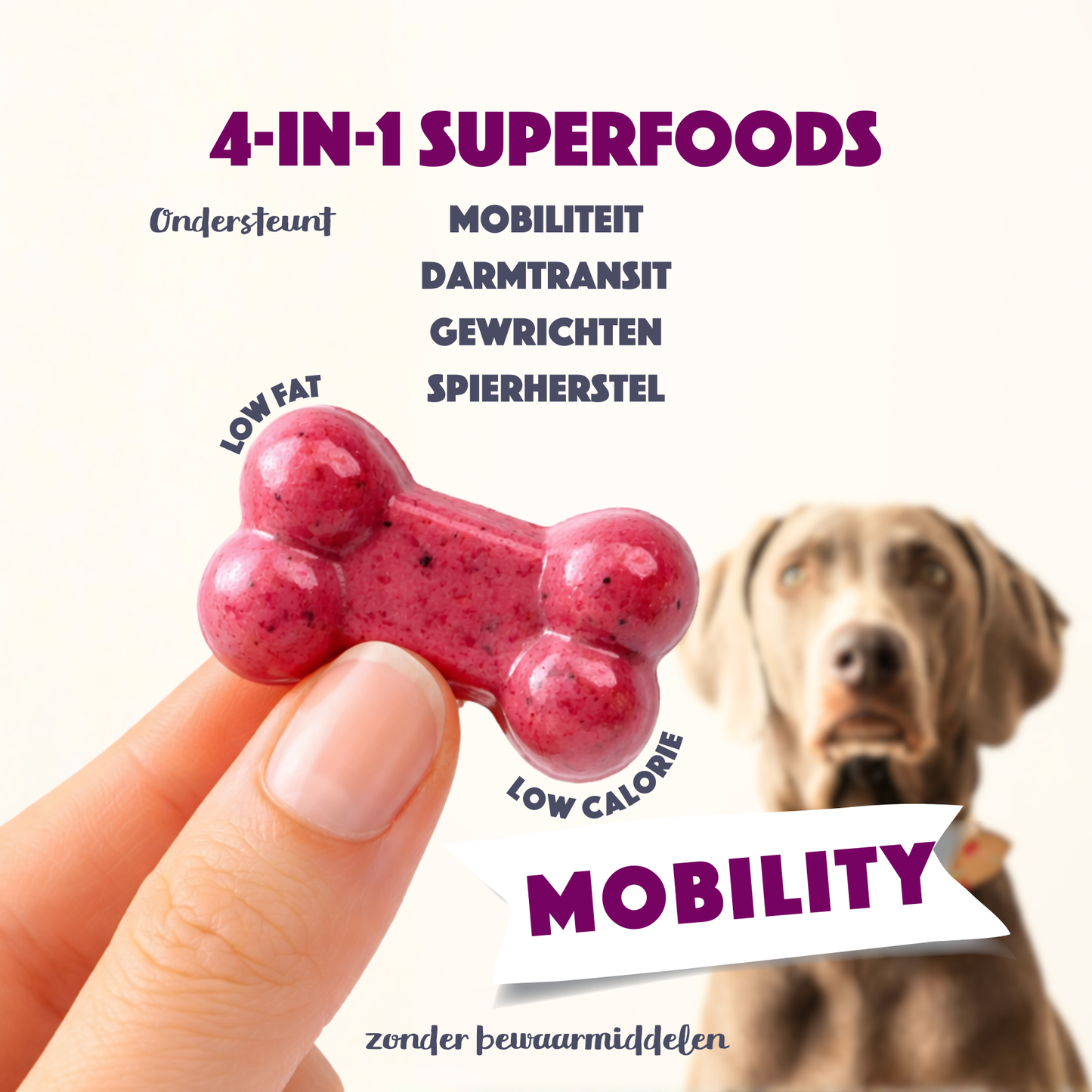 Smoofl Mobility Dog Gummies | Un supplément fonctionnel, faible en calories | snack pour chiens