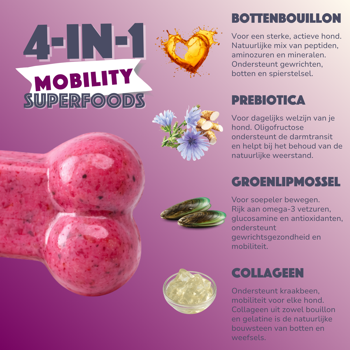 Smoofl Mobility Dog Gummies | Un supplément fonctionnel, faible en calories | snack pour chiens