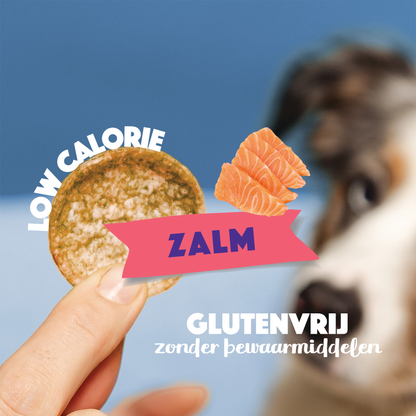 Smoofl Chips de Saumon pour Chien | Friandises faibles en calories pour chien