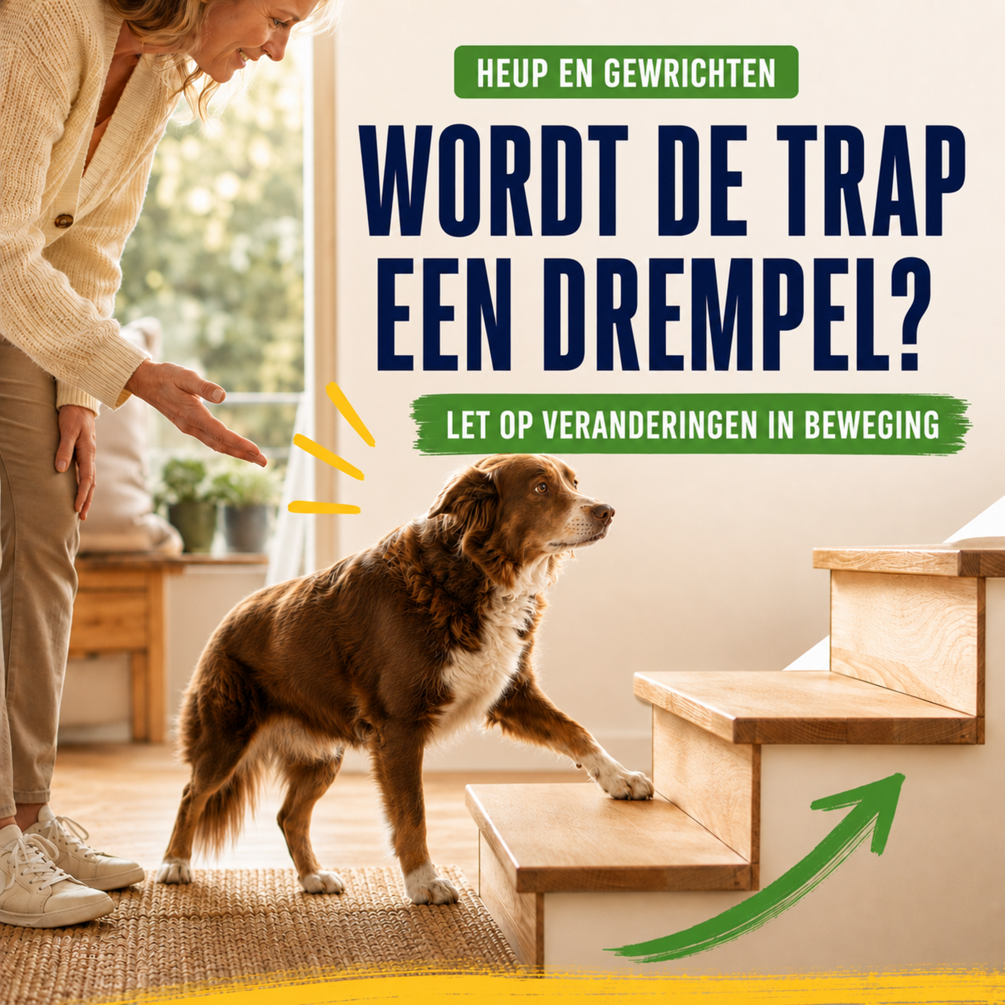 SensiDog Heup en gewrichten – 180g