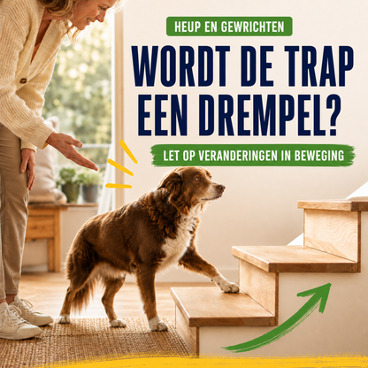 SensiDog Hanches et articulations – 180 g