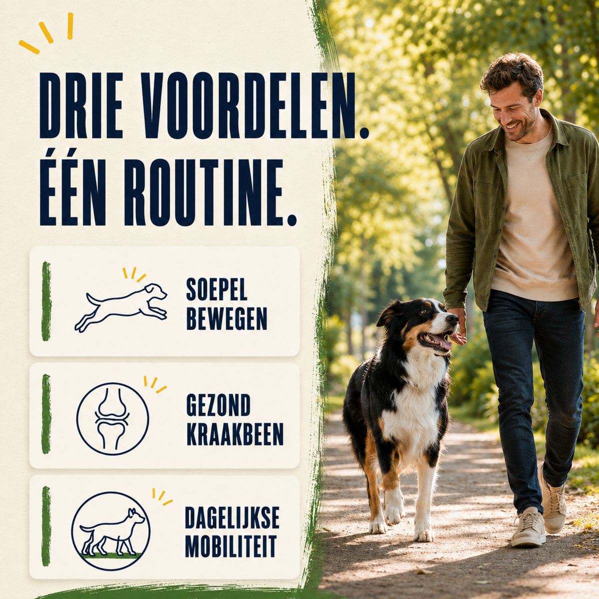 SensiDog Heup en gewrichten – 180g