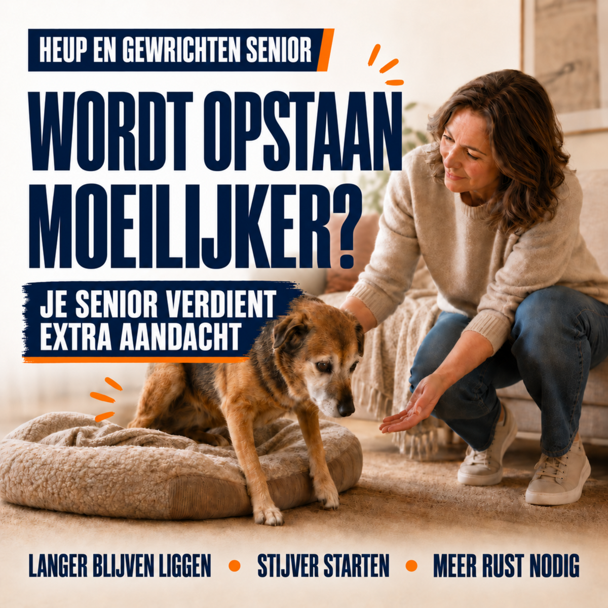SensiDog Heup en gewrichten Senior – 180g