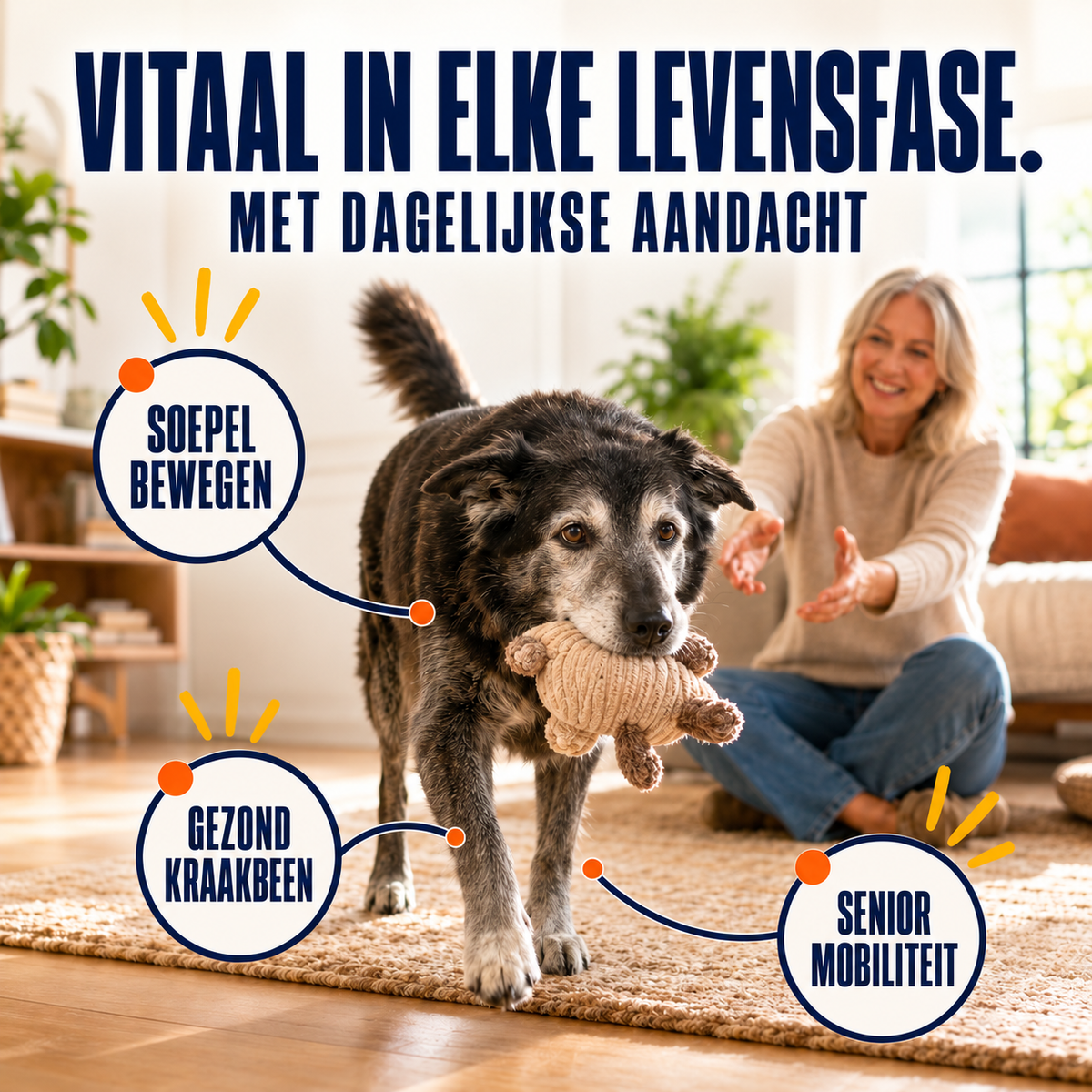 SensiDog Heup en gewrichten Senior – 180g